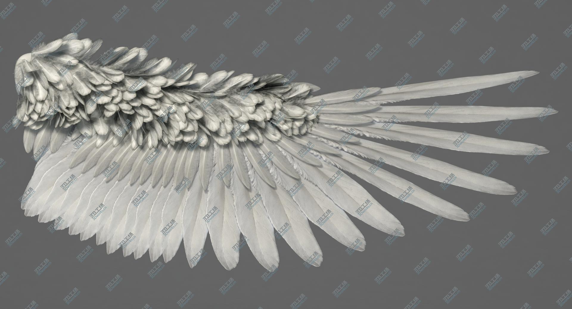 images/goods_img/2021040233/3D Angel Wings/5.jpg